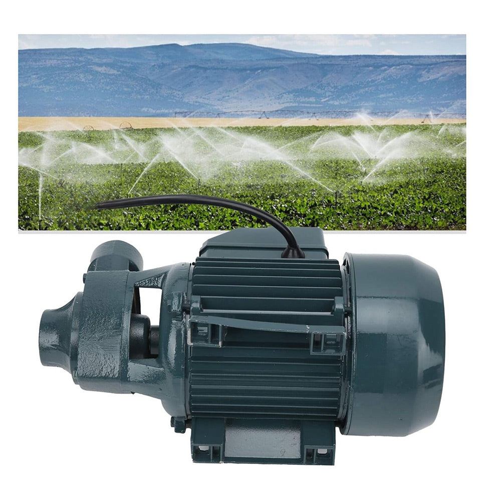 Elettropompa periferica autoclave 370 watt motore acqua elettro poma 0.5Hp 31 litri/min