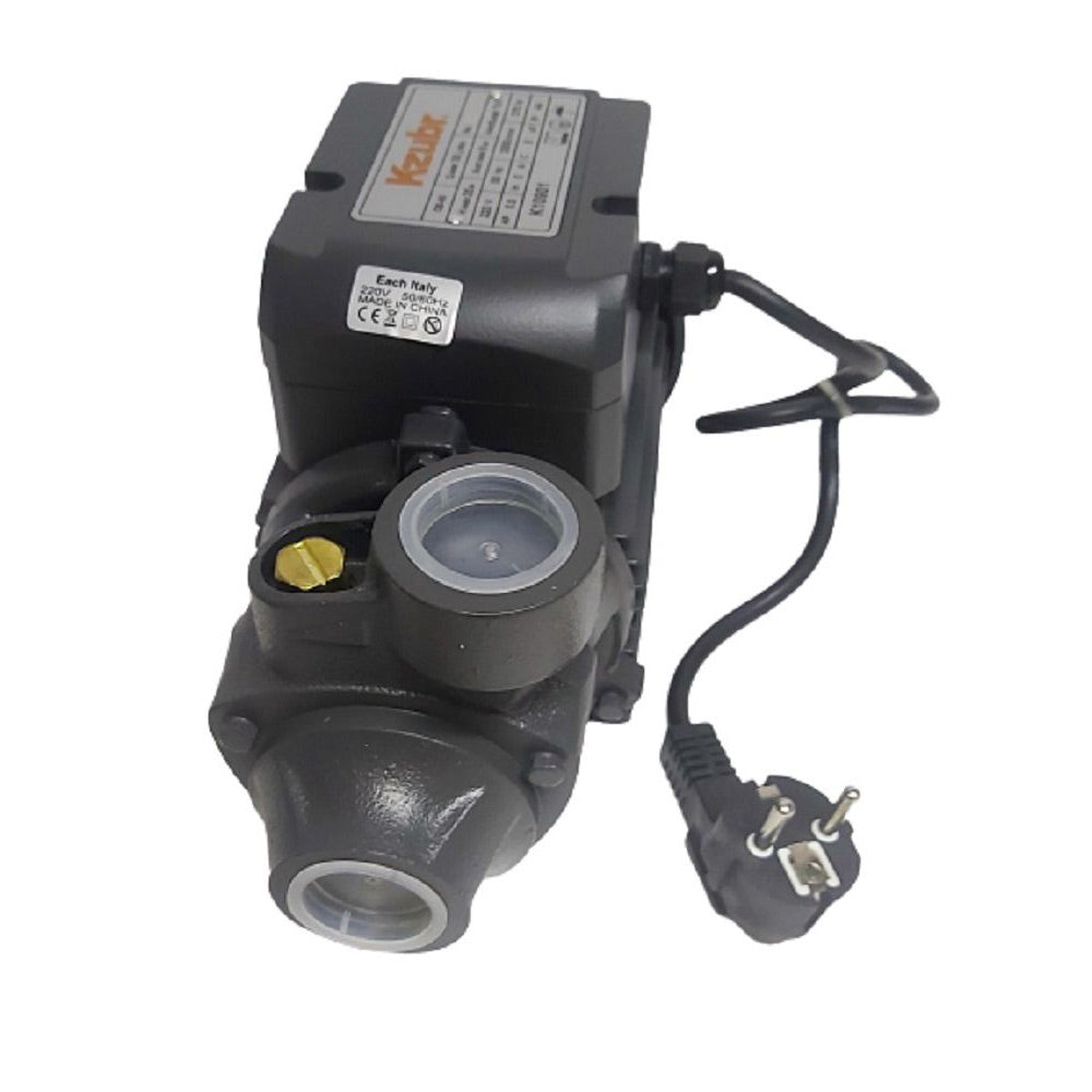 Elettropompa periferica autoclave 370 watt motore acqua elettro poma 0.5Hp 31 litri/min