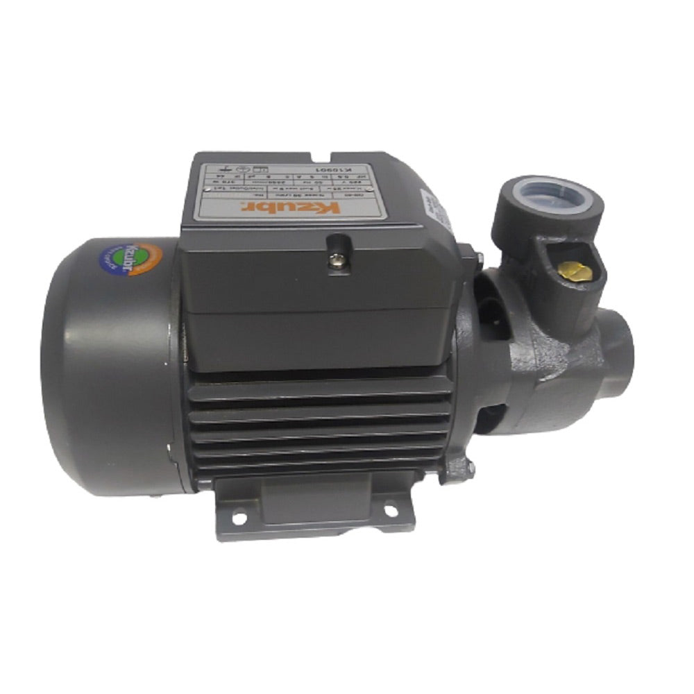 Elettropompa periferica autoclave 370 watt motore acqua elettro poma 0.5Hp 31 litri/min