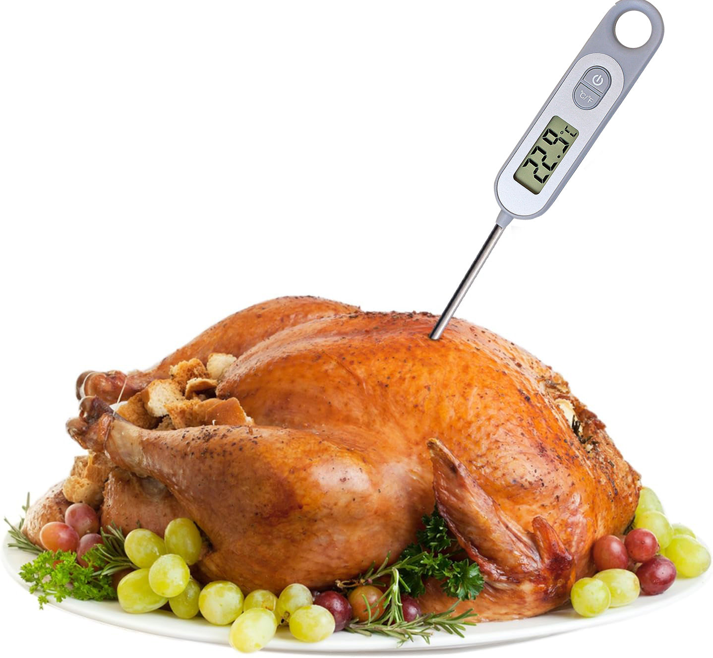 Termometro da cucina digitale per alimenti sonda da 50 300 gradi per cibi e bevande olio