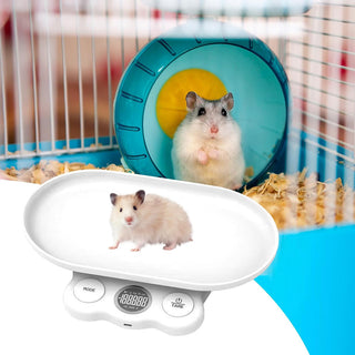 Bilancia per pesare animali di piccola taglia cibo x animali domestici