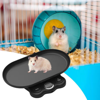 Bilancia per pesare animali di piccola taglia cibo x animali domestici