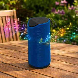 Cassa Bluetooth 10W portatile con radio FM ricaricabile USB TF AUX