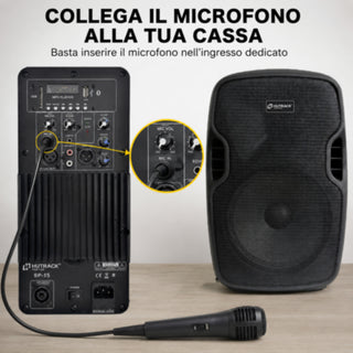 Coppia Casse Bluetooth 300W PMPO 100W RMS con Microfono USB SD 10"