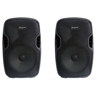 Coppia Casse Bluetooth 300W PMPO 100W RMS con Microfono USB SD 10"