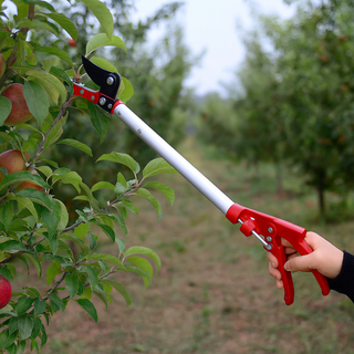 Forbici per frutta ad asta lunga 80 cm cesoie per potatura taglio rami