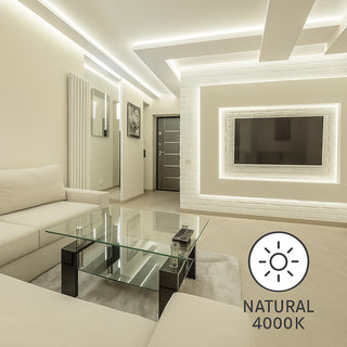Striscia strip led 1MT interno esterno 12W 220v 6500k 4000k 3000k IP65