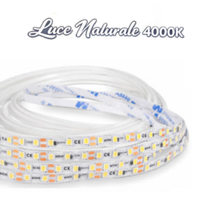 Striscia LED 24V 10M 100W profilo silicone flessibile luce uniforme