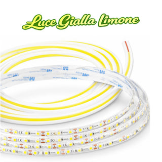 Striscia LED 24V 10M 100W profilo silicone flessibile luce uniforme