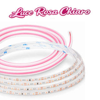 Striscia LED 24V 10M 100W profilo silicone flessibile luce uniforme