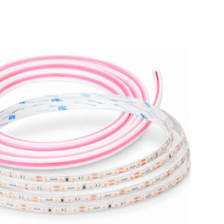 Striscia LED 24V 10M 100W profilo silicone flessibile luce uniforme
