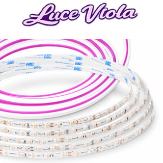 Striscia LED 24V 10M 100W profilo silicone flessibile luce uniforme