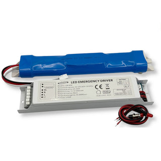 Driver emergenza per led da 3 a 80 watt alimentatore 300 min DC 220v