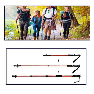 Coppia di bastoncini da trekking telescopico 63-135 cm vari colori