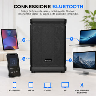 Cassa Bluetooth Karaoke Ricaricabile 80W RMS  240W PMPO con Microfono