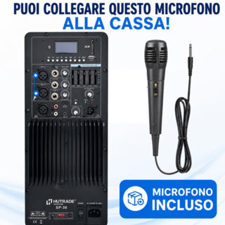 Cassa Bluetooth 300W PMPO 100W RMS con Microfono USB SD 12"