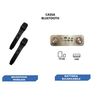 Cassa karaoke bluetooth 2 microfoni wireless radio FM USB SD con luci