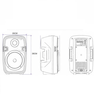 Cassa Bluetooth TWS 100W RGB Ricaricabile Type-C radio FM Telecomando
