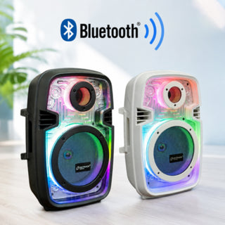 Cassa Bluetooth TWS 100W RGB Ricaricabile Type-C radio FM Telecomando