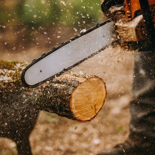 Catena di ricambio per barra da 25 cm 40 maglie lama per motosega