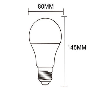 Lampadina led 16,5 watt A80 E27 luce fredda calda naturale