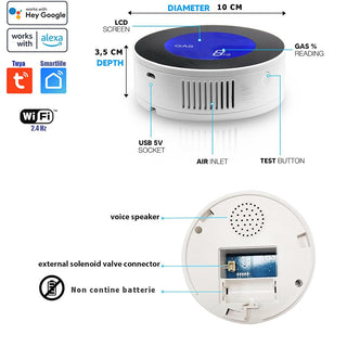 Rilevatore di Gas WI-FI smart sensore allarme con App Alexa Google