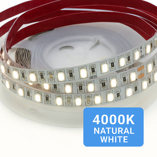 Striscia led 2835 strip 5 metri bobina adesiva 600 led IP55