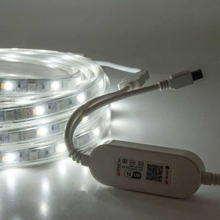 Strip led Smart rgb+ww 5050 5MT controllo app telecomando WI-FI 12V