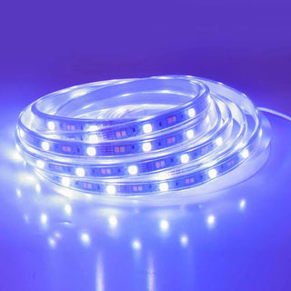Strip led Smart rgb+ww 5050 5MT controllo app telecomando WI-FI 12V