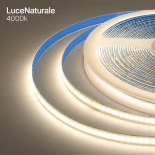 Striscia LED COB  24V 50W bobina strip 5 Metri illuminazione uniforme